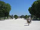 Jardin des Tuilleries