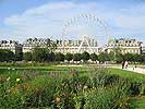 Jardin des Tuilleries